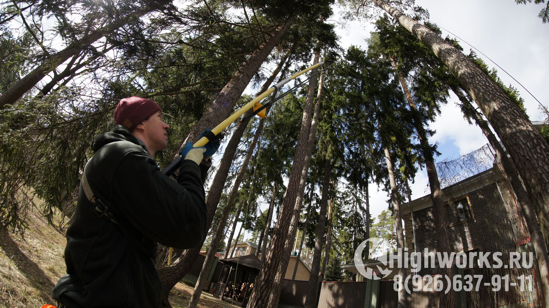 Укрепление и демонтаж деревьев промышленными альпинистами