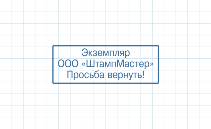 Штамп Возвратный экземпляр ВЭ-003 (45х16мм)