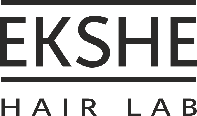 логотип EKSHE