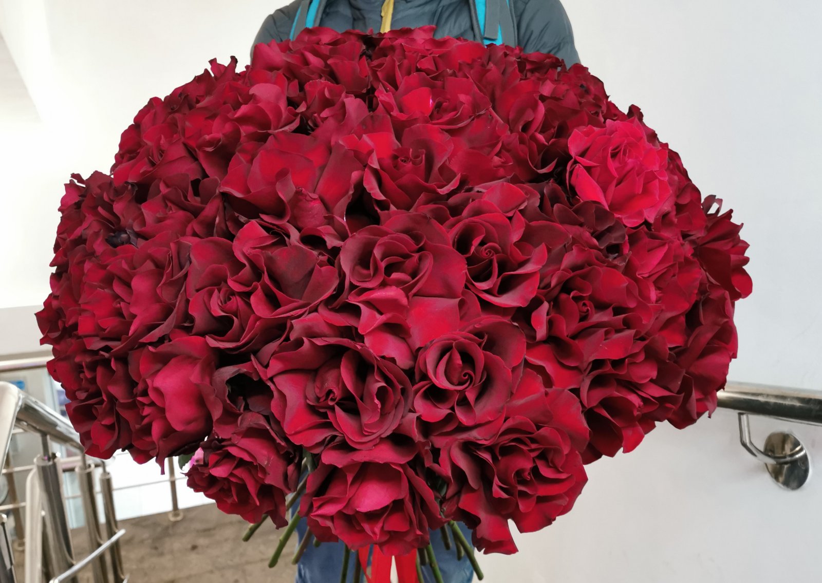 Букет-гигант из 55 роз сорта Софи Лорен