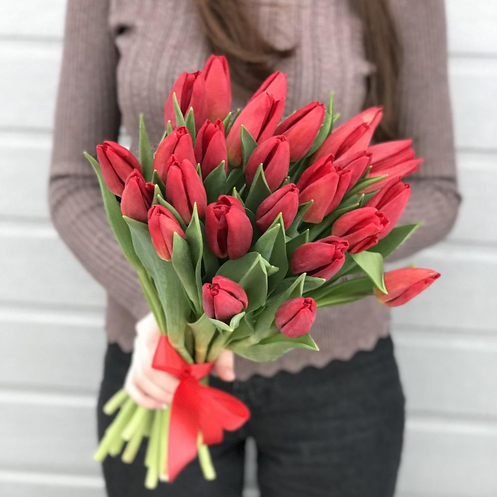 25 красных тюльпанов в руках
