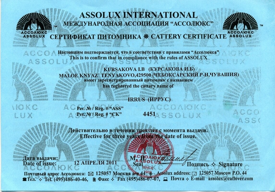 Сертификат Assolux (Ассолюкс), дающий право на разведение котят на 2011-2014 года