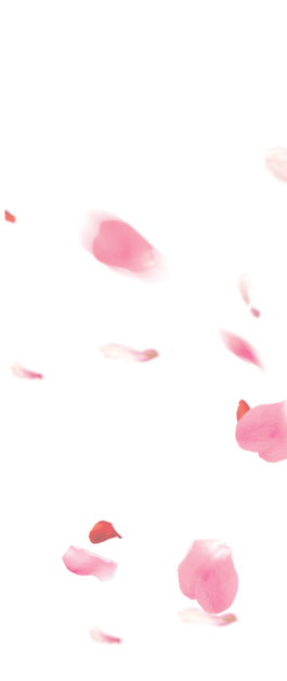 Дворик Красоты отзывы