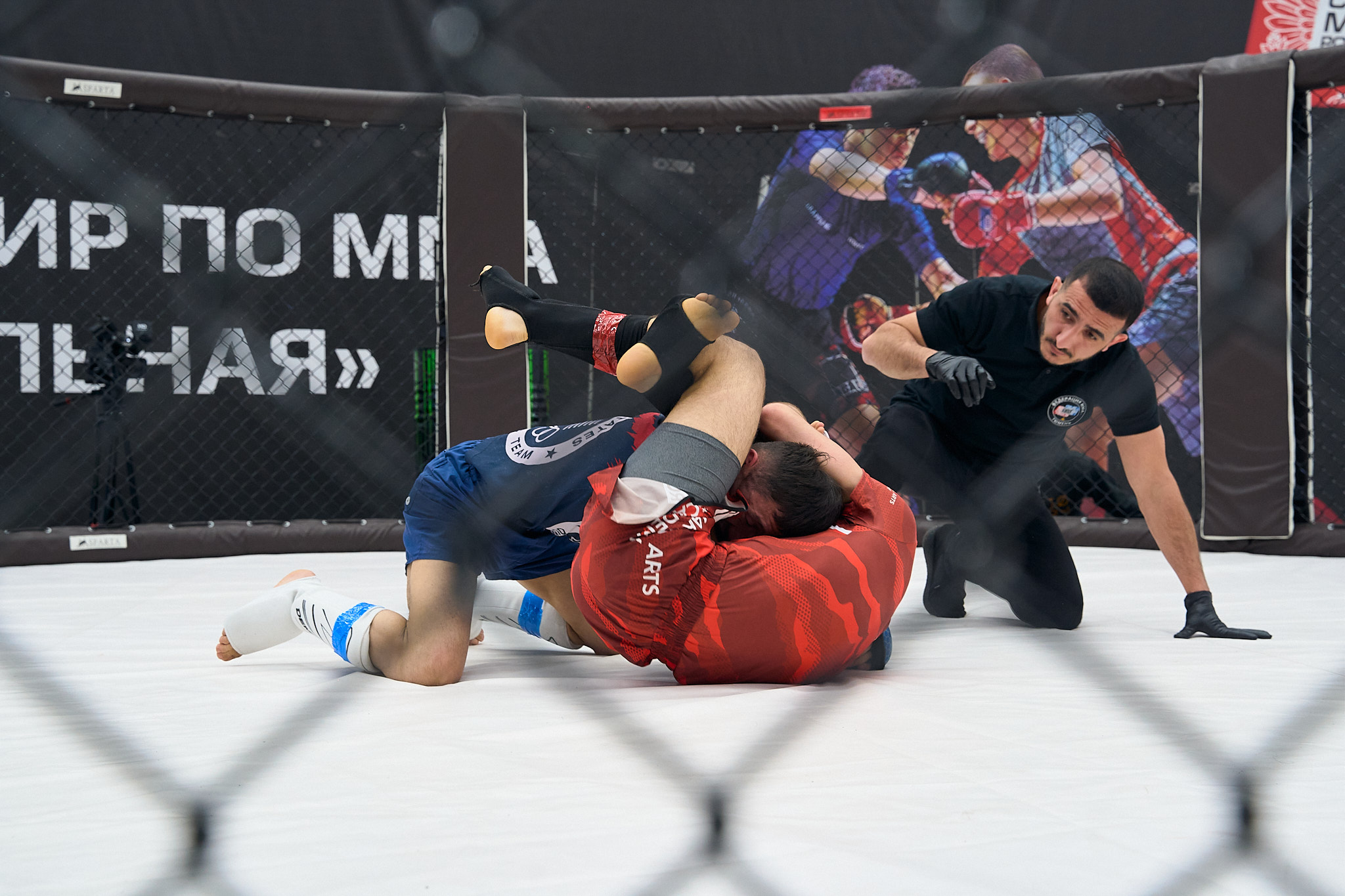 Улица спорта тюмень. Зал ММА. Тюмень сильная спортивный фестиваль 2023 ММА. ММА Тюмень 20.05.2023. Тюмень сильный 2023 год силовой экстрим видео.