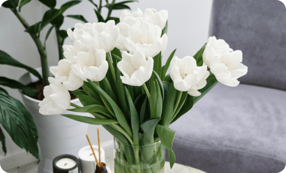 Изображение вазы с цветами в клинике Миллениум