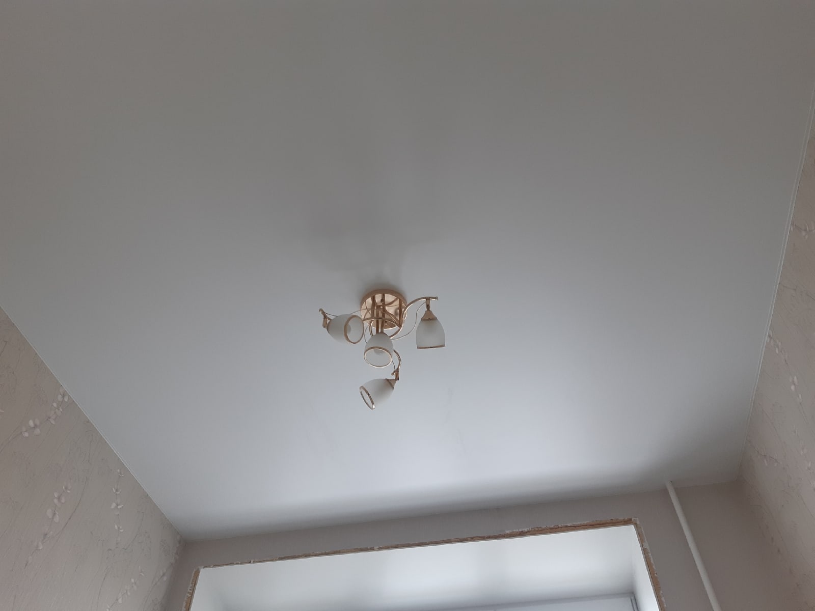 Матовый натяжной потолок в комнату 15 кв.м. фото Кострома