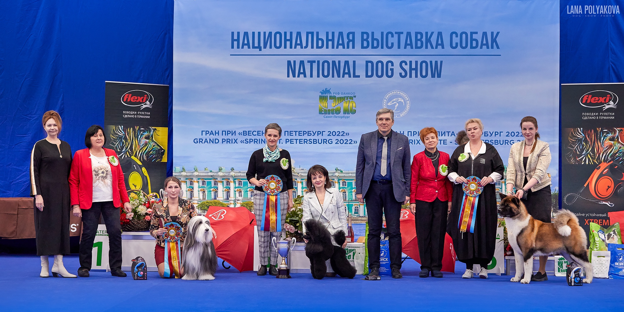 National dog show CAС "CH RKF" / Всепородная выставка национального уровня CAC ЧРКФ с особым статусом