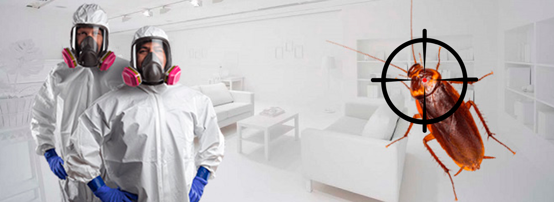 профессиональную дезинсекцию