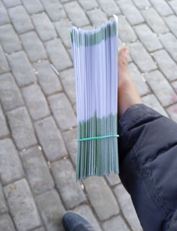 Раздача листовок на улице в г. Иркутск, Займы, Кейс 1321