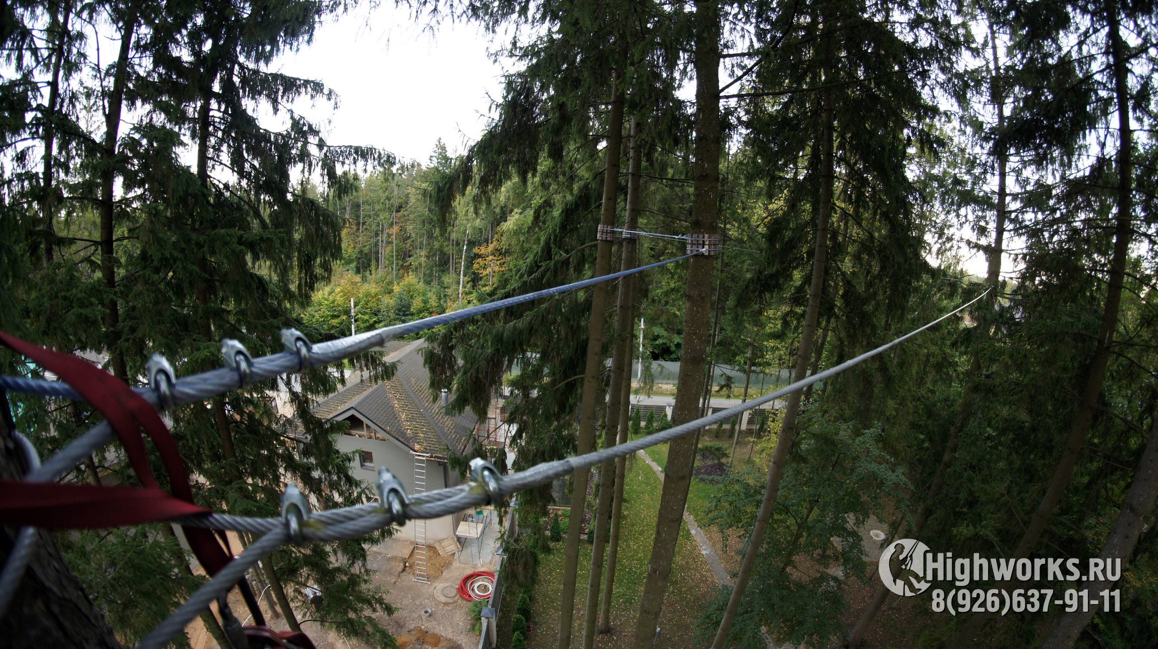 Укрепление деревьев промышленными альпинистами
