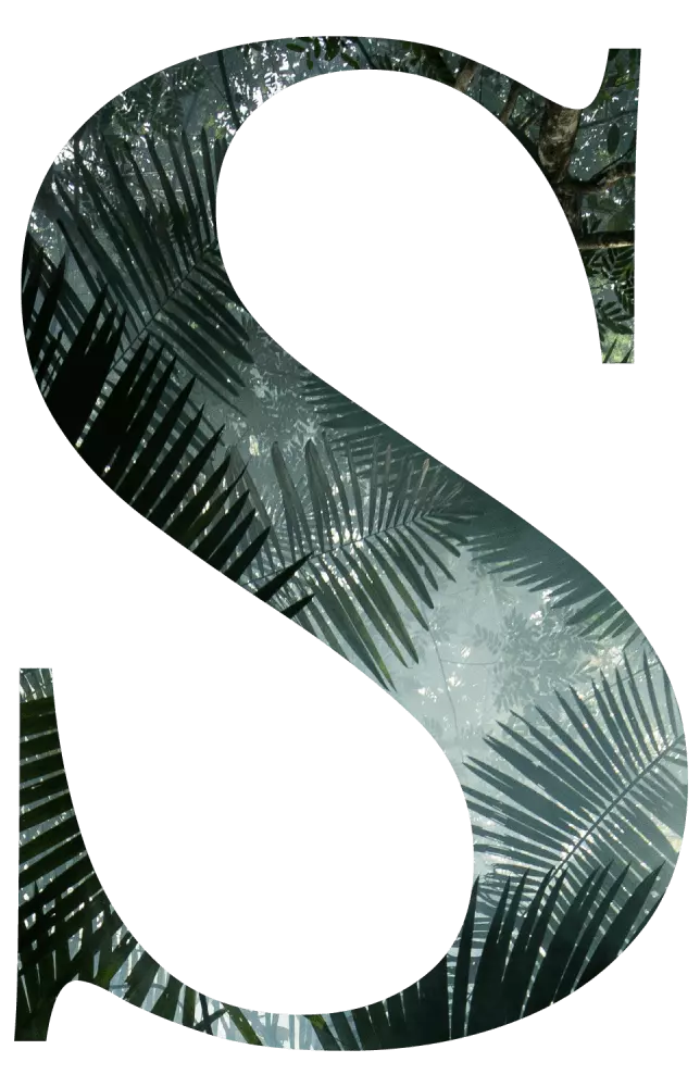 SPA Цветок Одиссея SPA центр