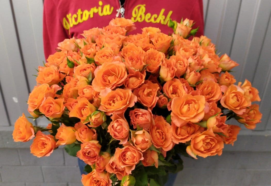 Кустовые оранжевые розы 19 веток