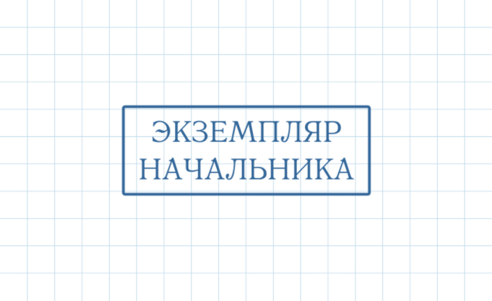 Штамп Возвратный экземпляр ВЭ-017 (45х16мм)