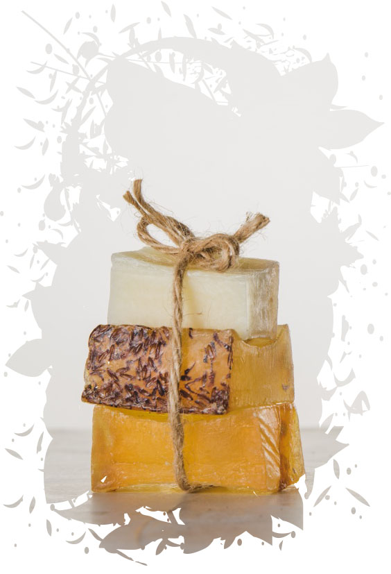 О ПАРКЕ / Парк птиц "ВОРОБЬИ"