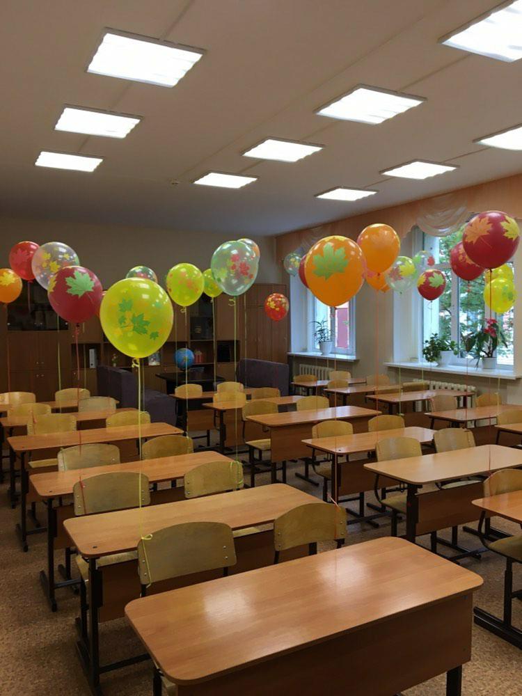 20 кленовых шаров в школу