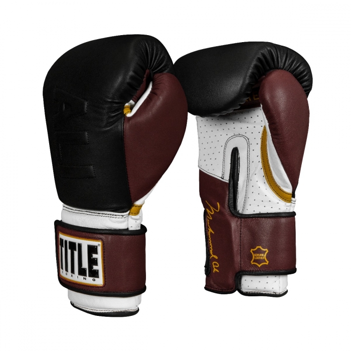 title gloves boxing