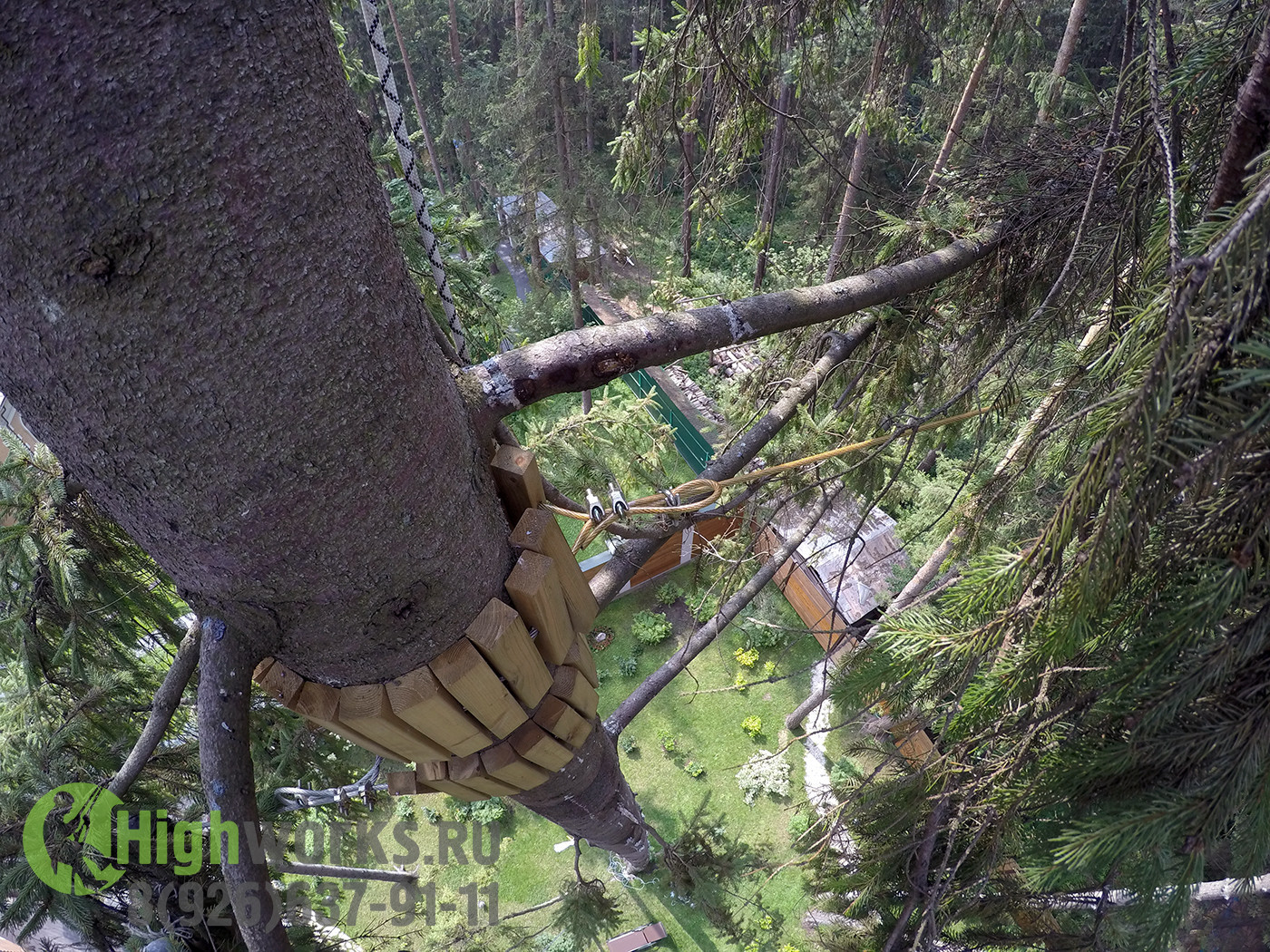 Удаление и укрепление деревьев промышленными альпинистами