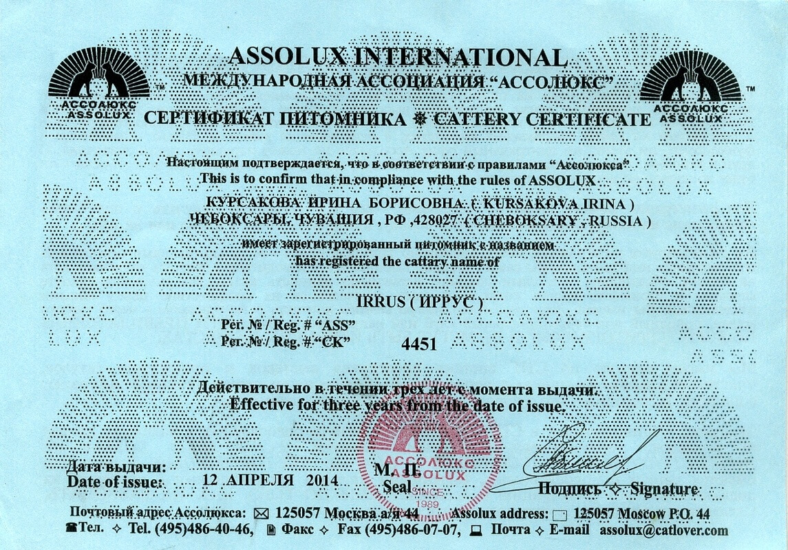 Сертификат Assolux (Ассолюкс), дающий право на разведение котят на 2014-2017 года
