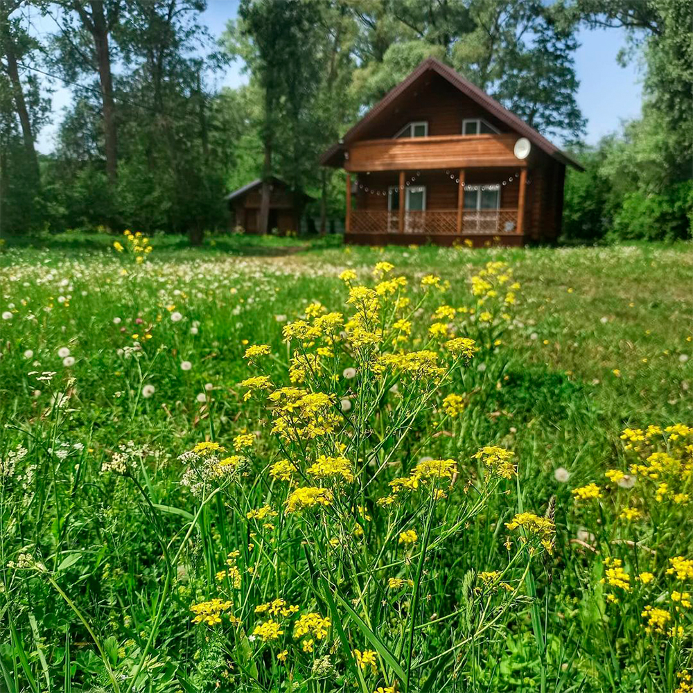 База отдыха "Островок"