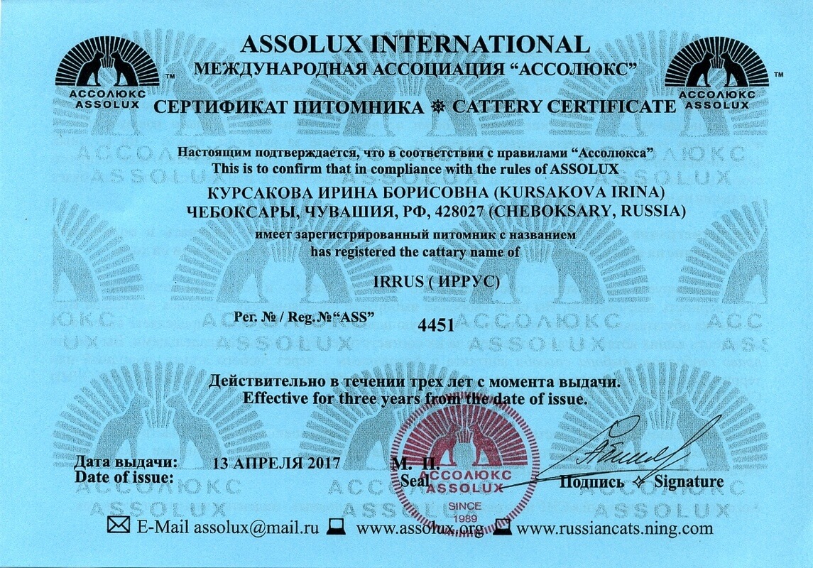 Сертификат Assolux (Ассолюкс), дающий право на разведение котят на 2017-2020 года