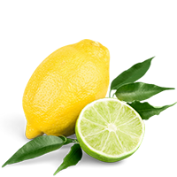 Заказать Кальян на лимоне с доставкой на дом