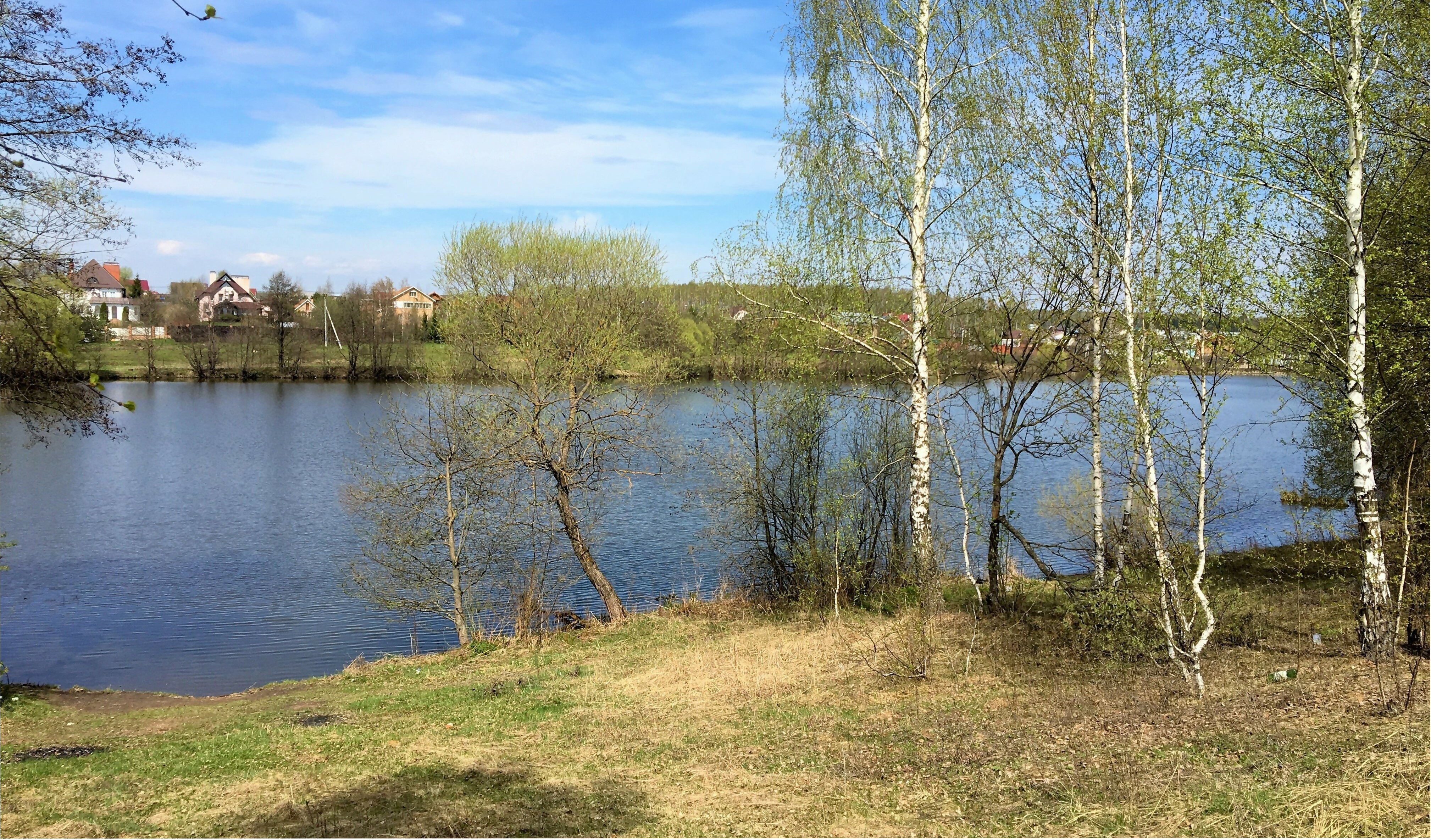 Озеро в Шишкино