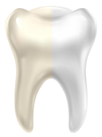 зуб 