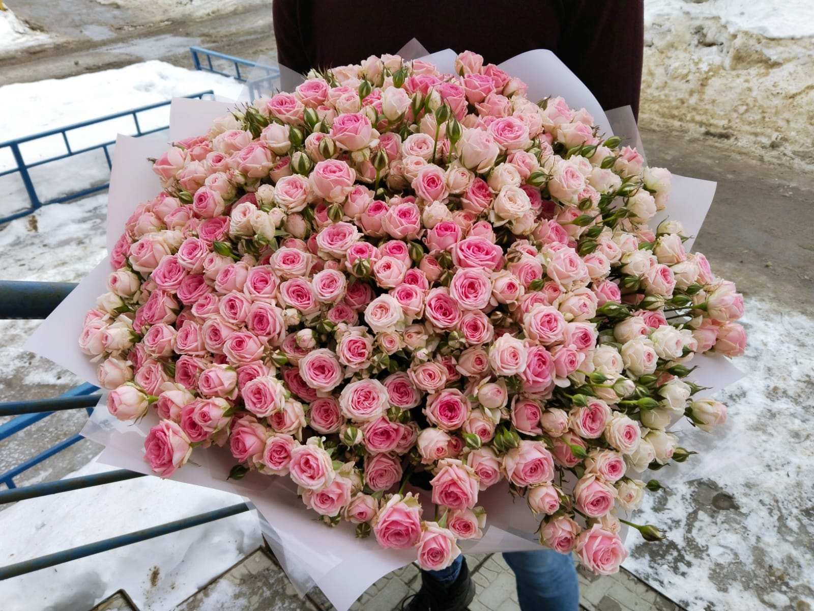 65 нежных кустовых роз