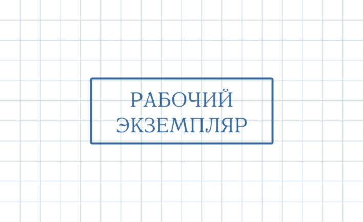 Штамп Возвратный экземпляр ВЭ-014 (45х16мм)