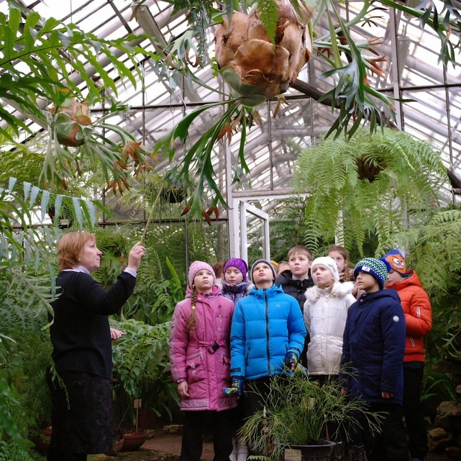 Экскурсия для школьников в ботанический сад