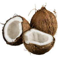Заказать Кальян на кокосе с доставкой на дом