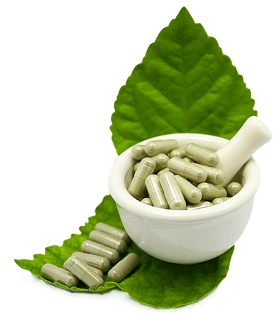 Биодобавка