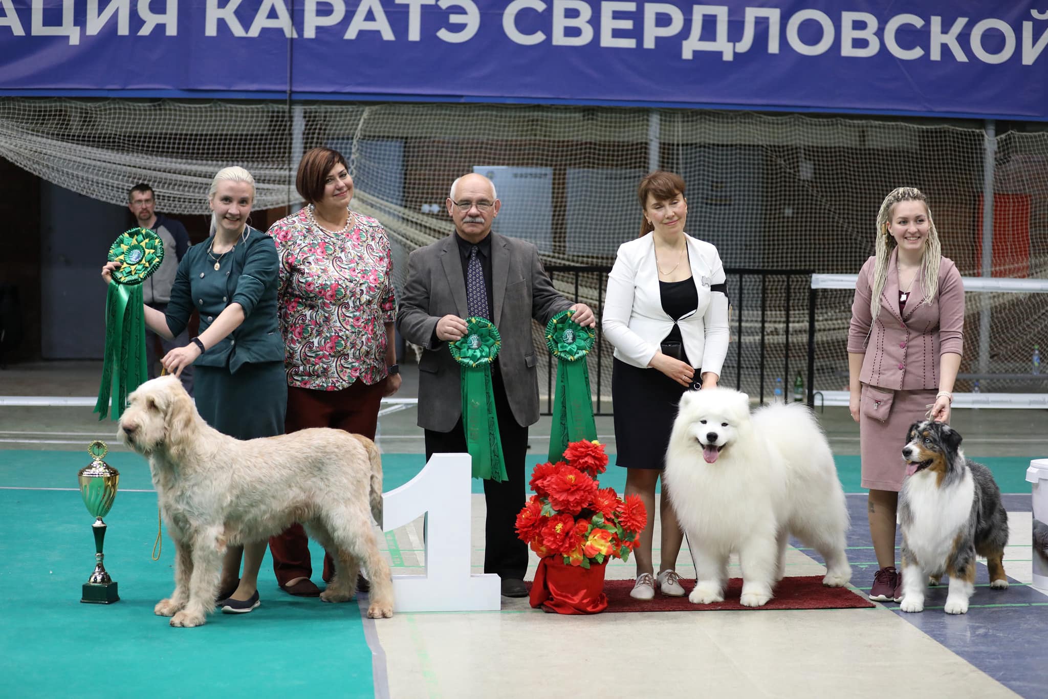 National dog show CAС "CH RKF" / Всепородная выставка национального уровня CAC ЧРКФ с особым статусом