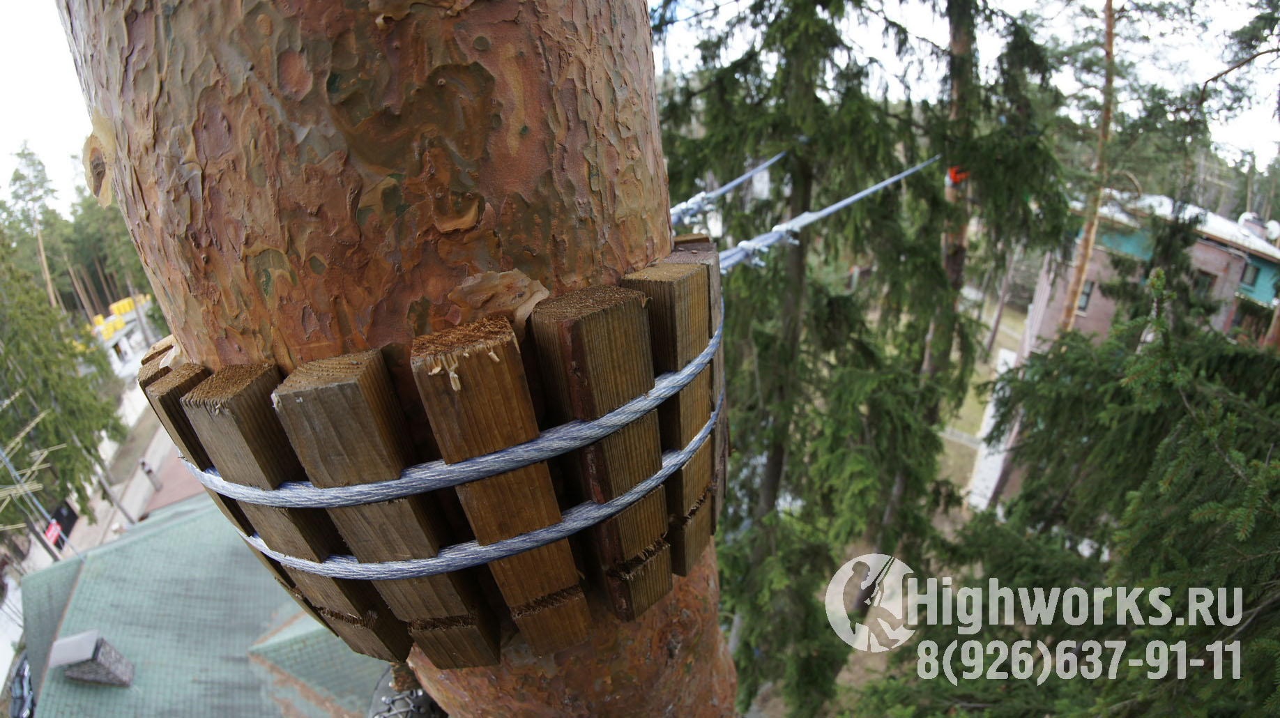 Укрепление и демонтаж деревьев промышленными альпинистами