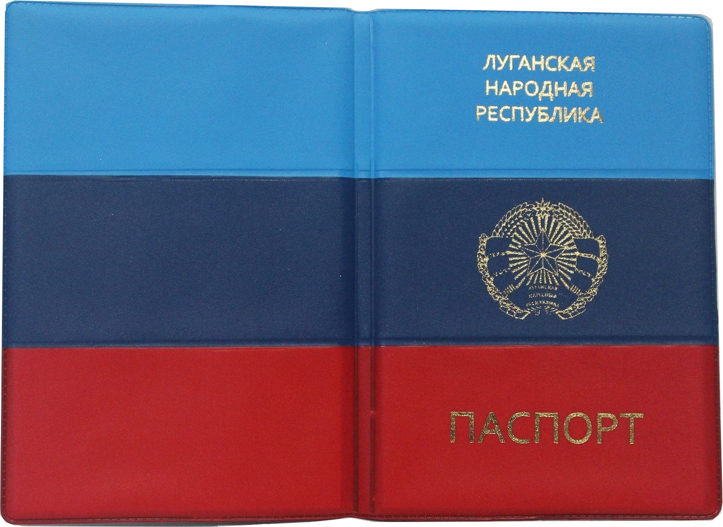45 лет фото паспорт лнр