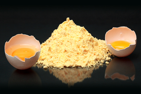 Fabricant et fournisseurs de poudre de jaune d'œuf en gros