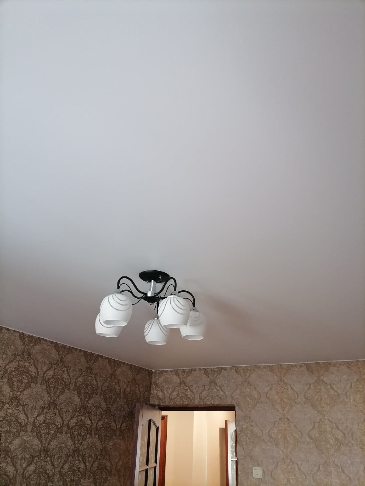 Натяжные потолки матовые белые фото для зала