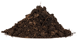 Кошка, кот, домашнее животное