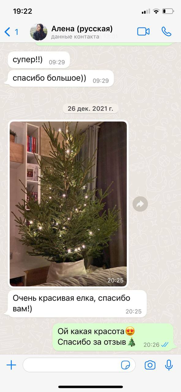 Отзыв о елке датская елка Фото отзыва