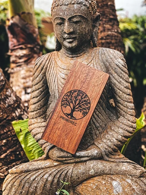 Sadhu Board from Bali - Tree of Life 3
