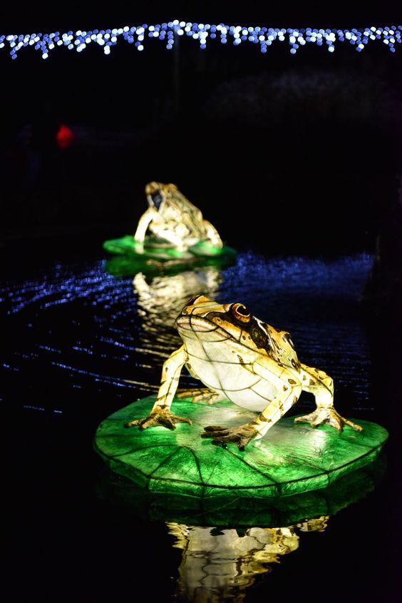Светящийся арт-объект в виде лягушки