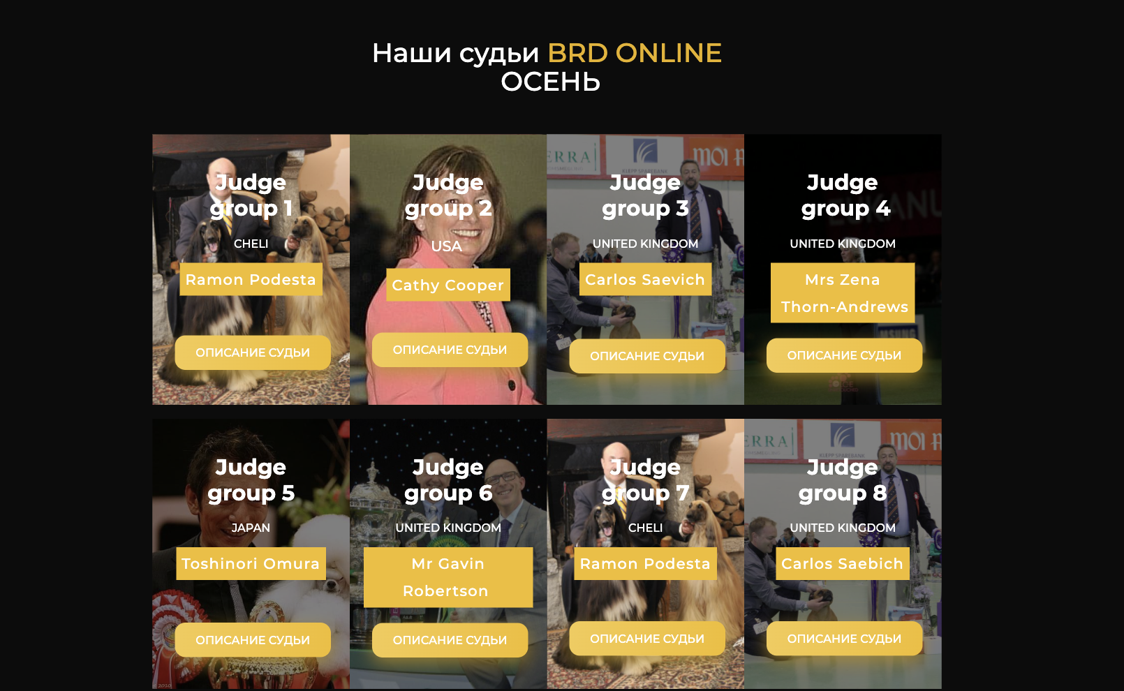 Судьи проекта brd-online