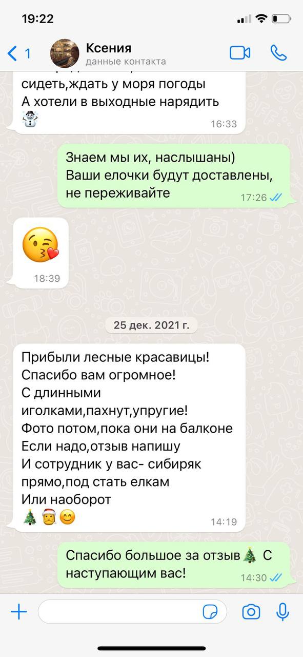Отзыв о елке датская елка Фото отзыва