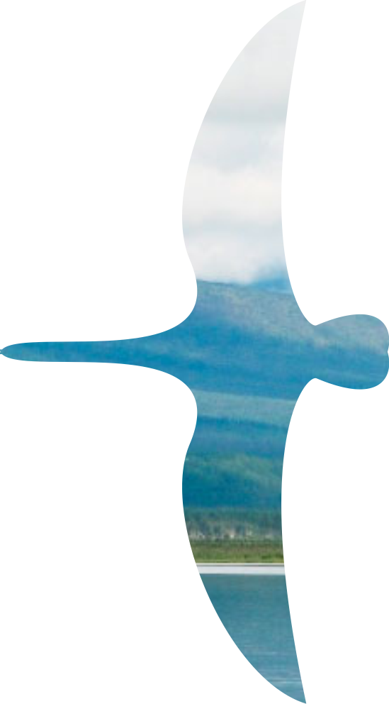 конкурсы artsevera