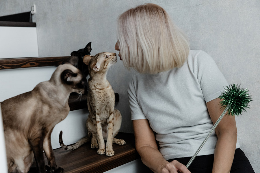 Интересный факт