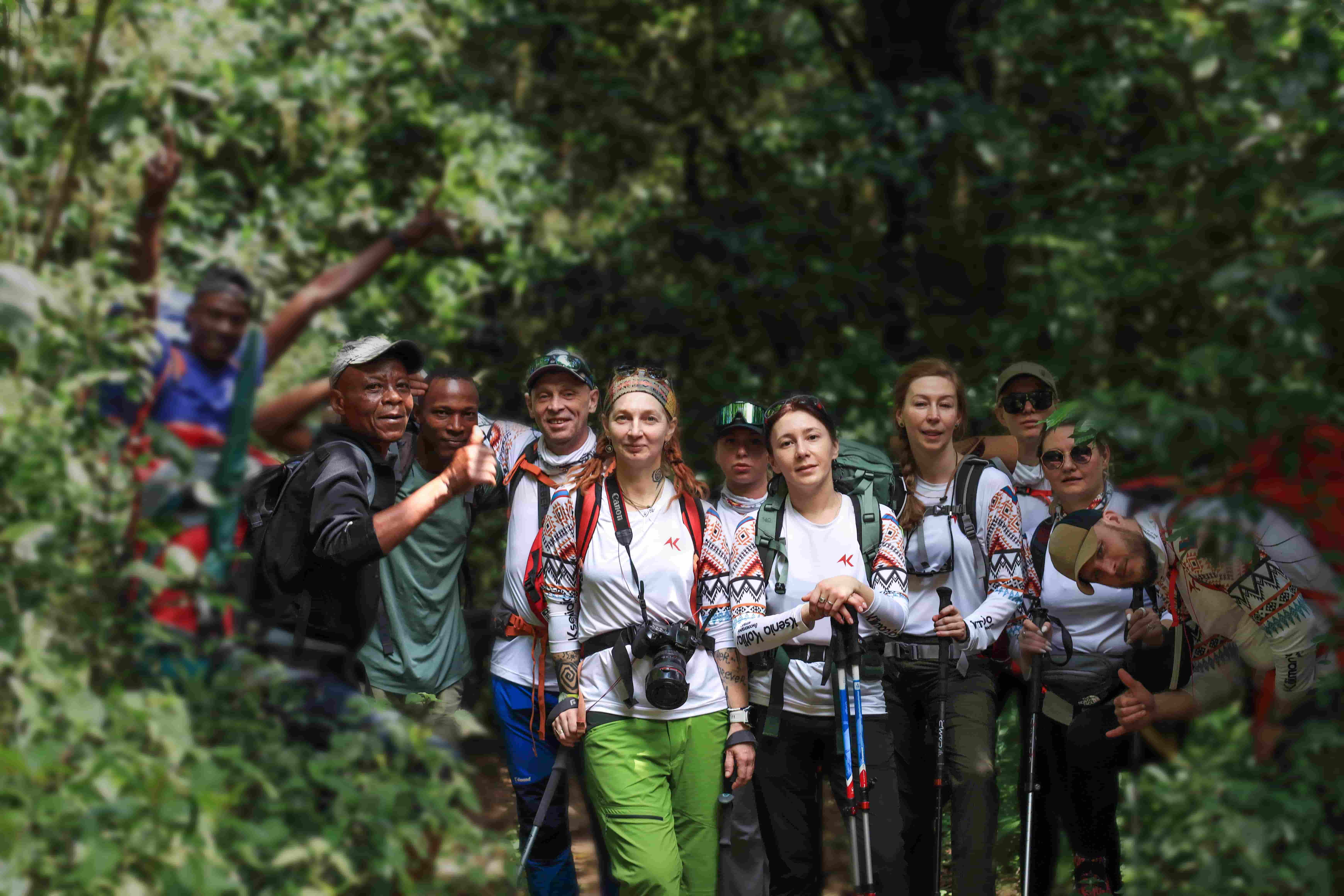 трекинг среди джунглей Килиманджаро