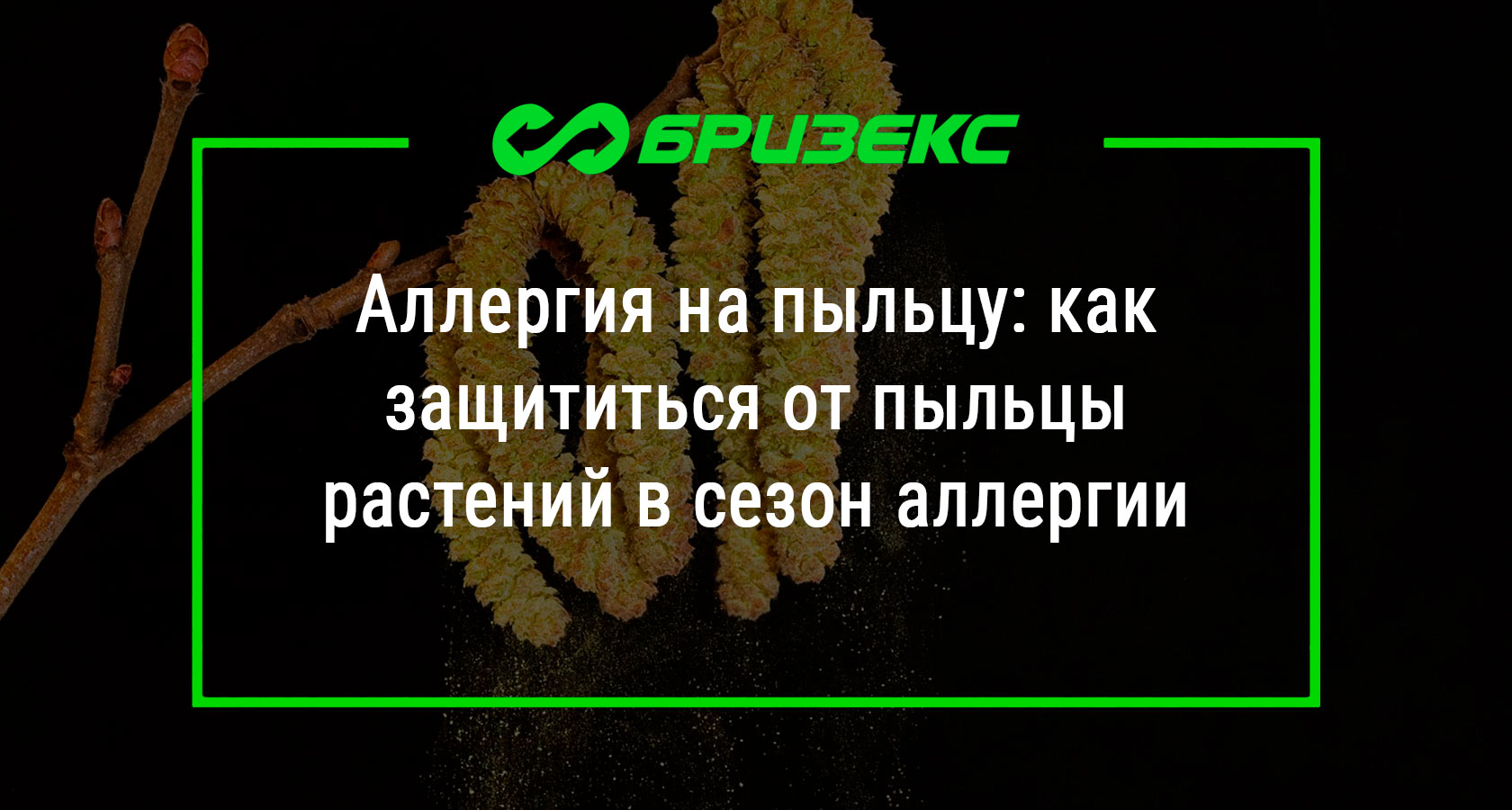 Аллергия на пыльцу: как защититься от пыльцы растений в сезон аллергии