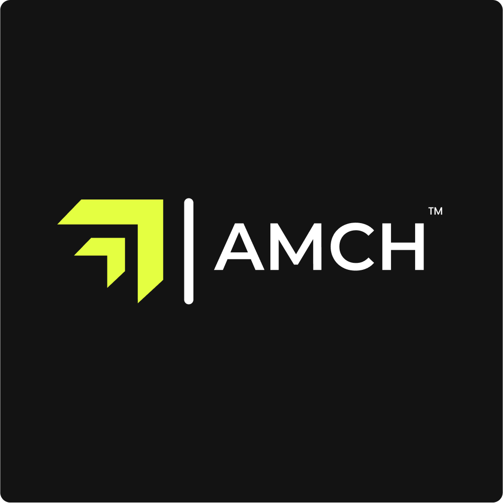 AMCH LTD