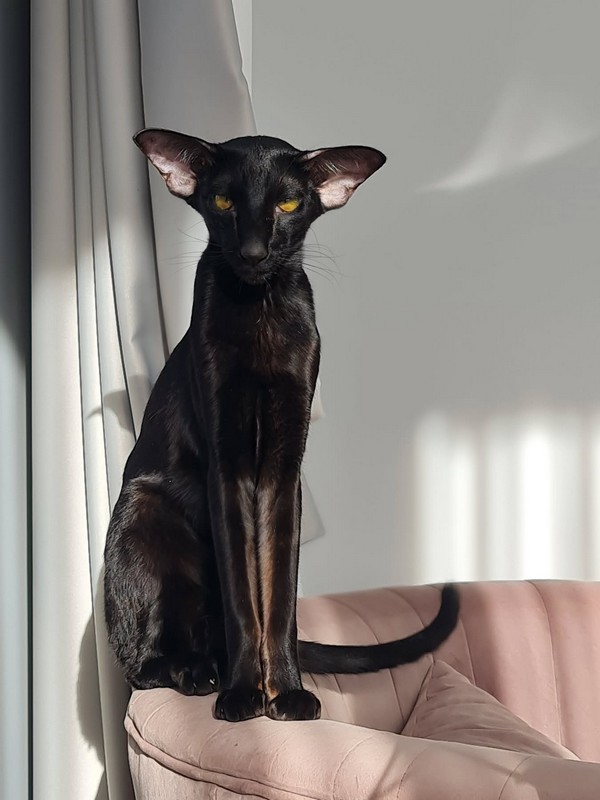 Интересный факт