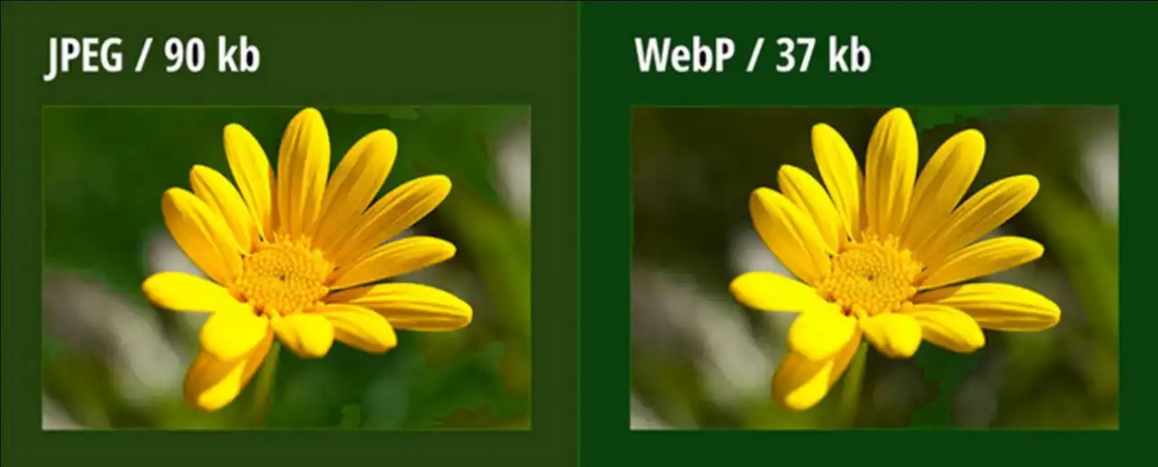 Сравнение картинок jpg и webp